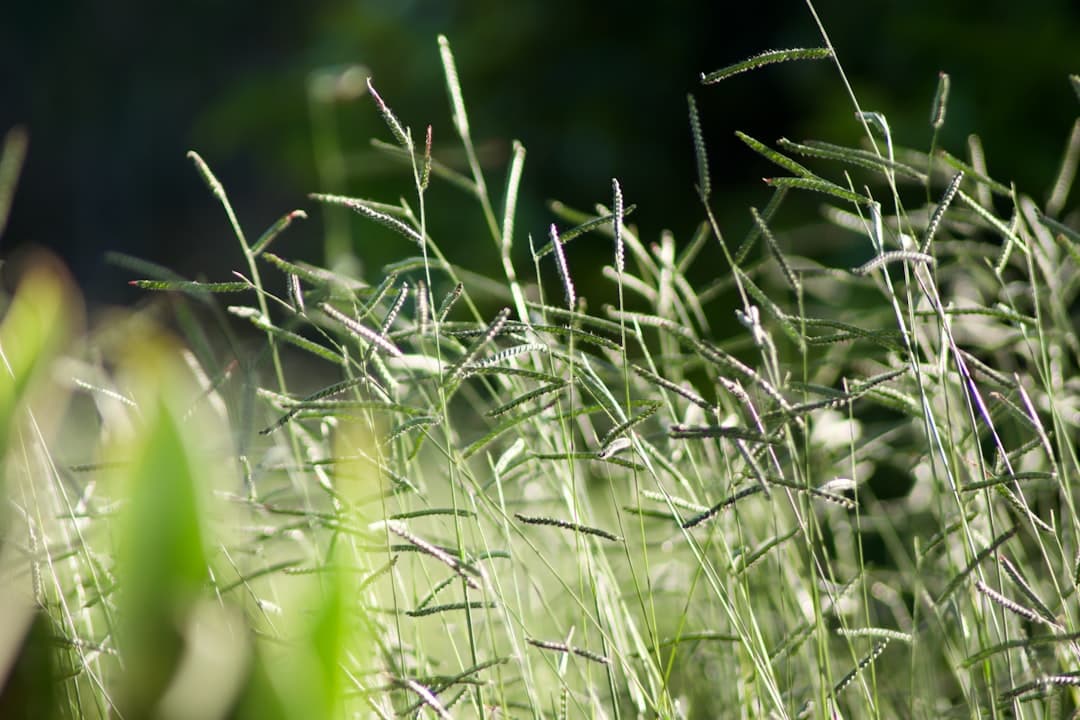 Detox víkend v Českém ráji - hlavní obrázek